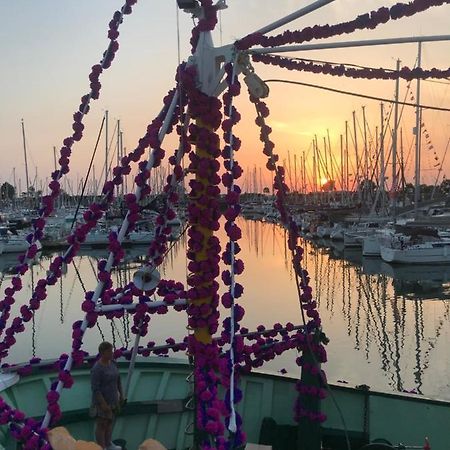 Le Tricorne Lejlighed Saint-Vaast-la-Hougue Eksteriør billede