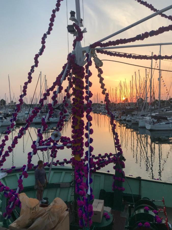Le Tricorne Lejlighed Saint-Vaast-la-Hougue Eksteriør billede